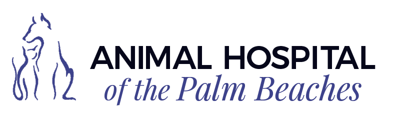Animal Hospital of The Palm Beaches